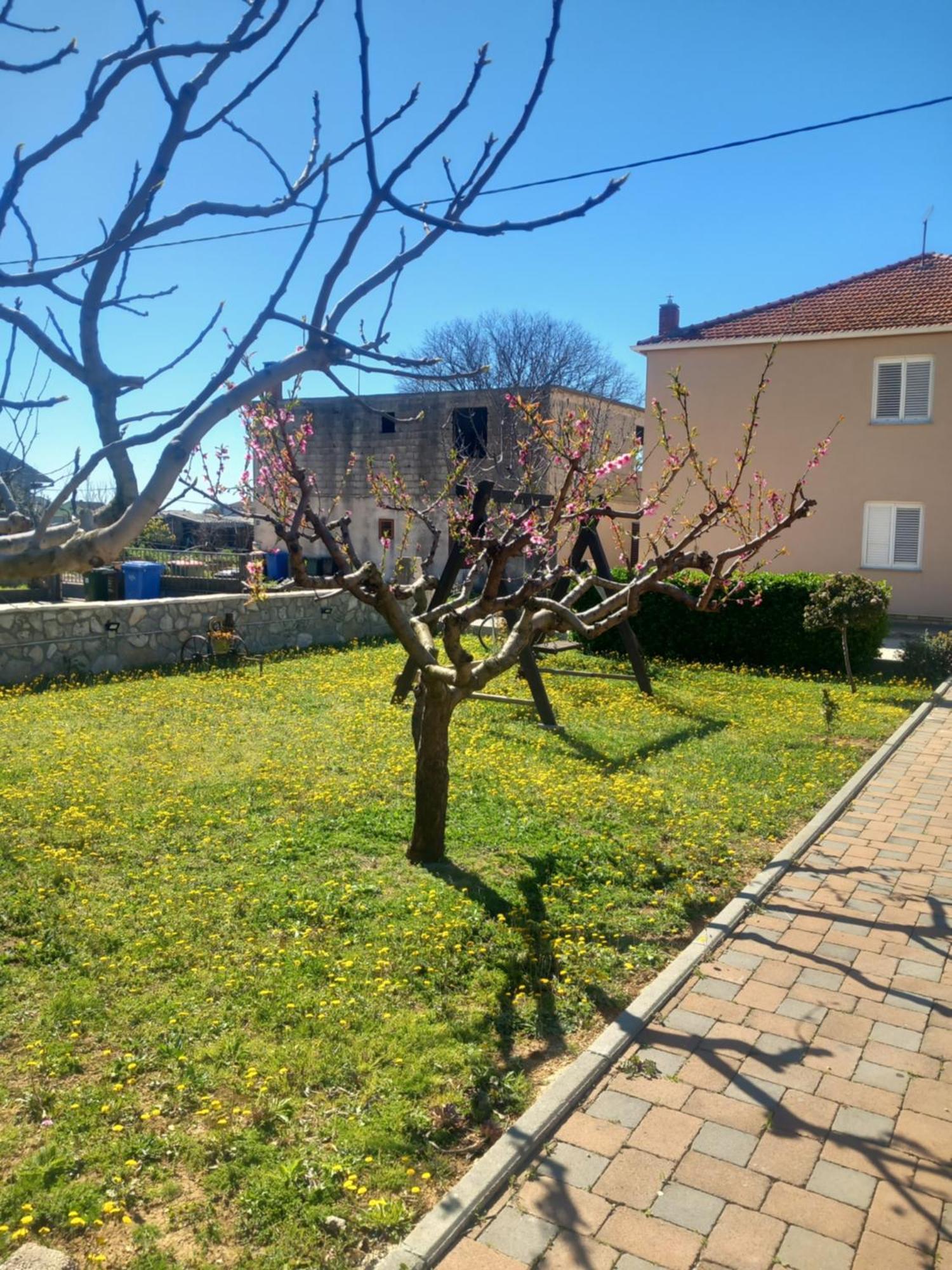 Apartmani Goga Biograd Na Moru Dış mekan fotoğraf