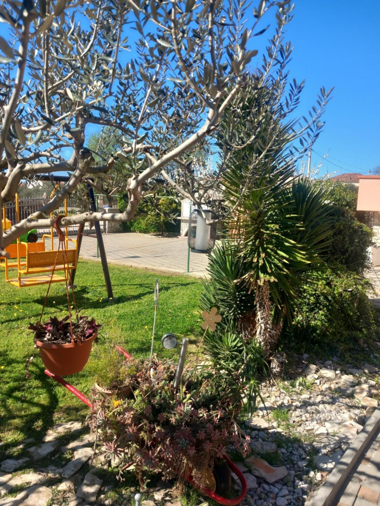Apartmani Goga Biograd Na Moru Dış mekan fotoğraf