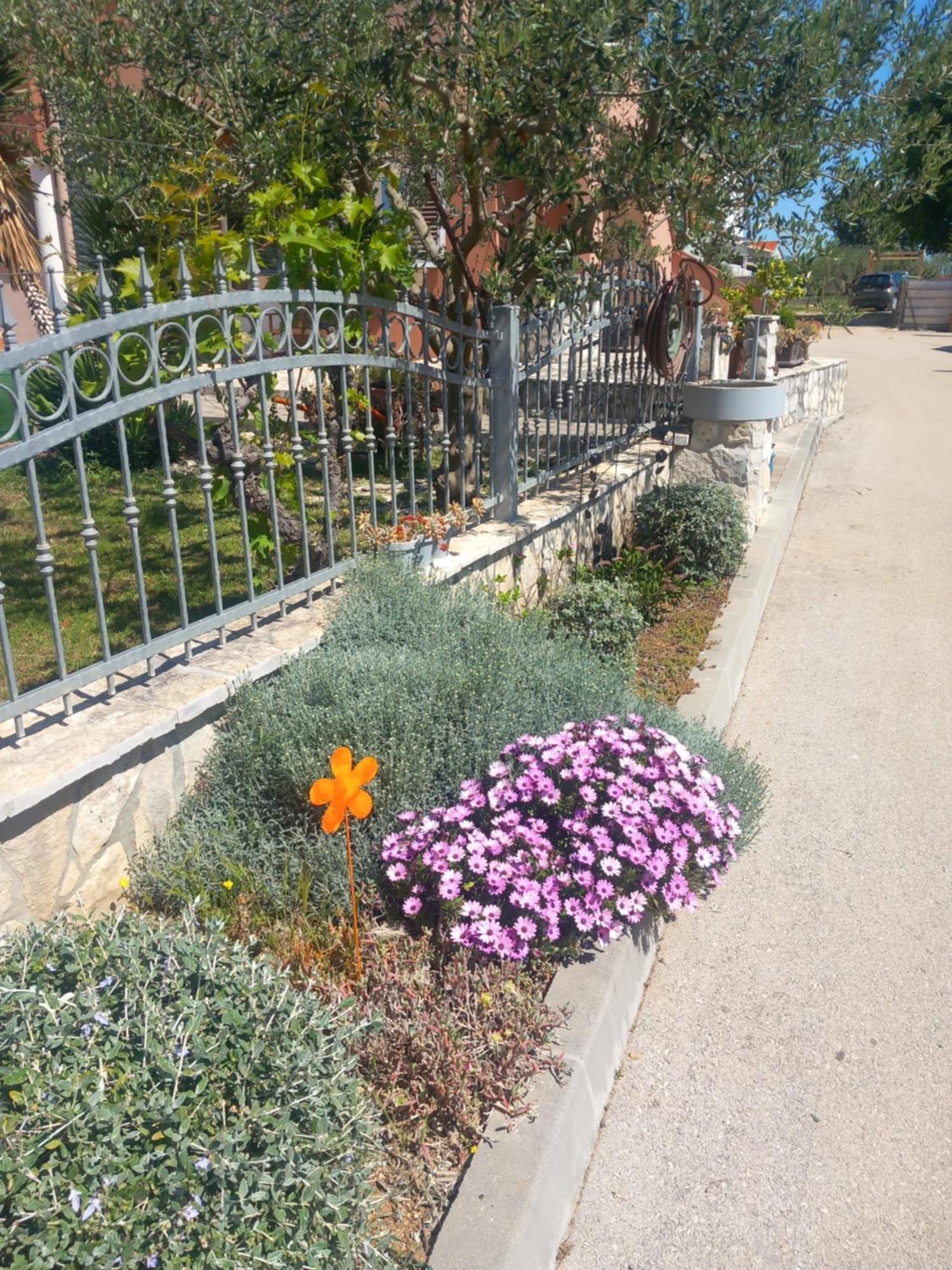 Apartmani Goga Biograd Na Moru Dış mekan fotoğraf